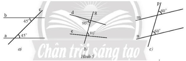 Thực hành 1 trang 77 Toán 7 Tập 1 Chân trời sáng tạo