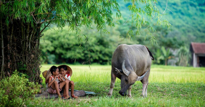 Cảm nhận về đoạn thơ từ Ôi thuở ấu thơ lớp 7