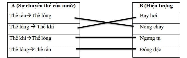 Đề kiểm tra cuối kì 1 môn Khoa học lớp 4 KNTT
