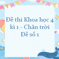 Đề thi Khoa học lớp 4 kì 1 Chân trời sáng tạo - Đề số 1