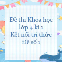 Đề thi Khoa học lớp 4 kì 1 Kết nối tri thức - Đề số 1
