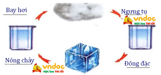 Đề thi Khoa học lớp 4 kì 1 Kết nối tri thức - Đề số 3