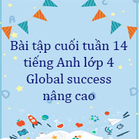 Phiếu bài tập cuối tuần tiếng Anh lớp 4 Global success nâng cao Tuần 14