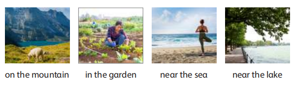 Tiếng Anh 4 Wonderful world Unit 6 lesson 1