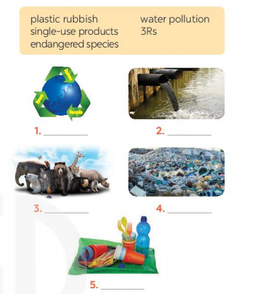 tieng-anh-8-unit-7-getting-started-trang-72-73