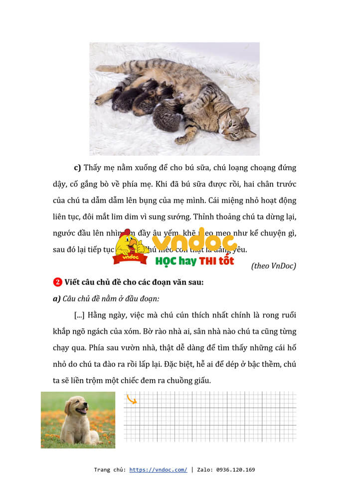 bai tap cuoi tuan tieng viet lop 4 canh dieu tuan 15 nang cao h2*546363