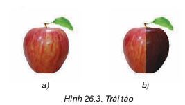 Tin học 11 Kết nối tri thức bài 26