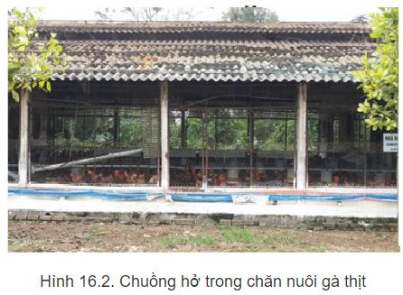 Công nghệ 11 Kết nối tri thức bài 16