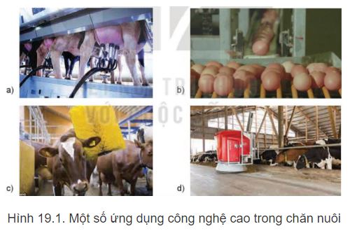 Công nghệ 11 Kết nối tri thức bài 19