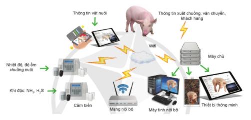 Công nghệ 11 Kết nối tri thức bài 19