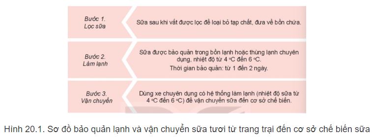 Công nghệ 11 Kết nối tri thức bài 20