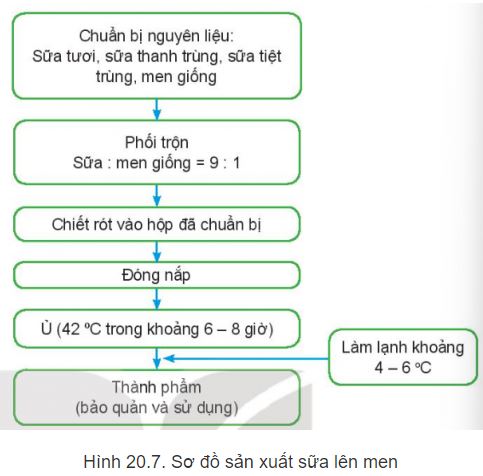 Công nghệ 11 Kết nối tri thức bài 20