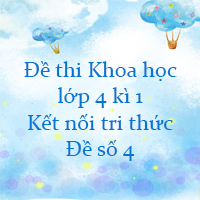 Đề thi Khoa học lớp 4 kì 1 Kết nối tri thức - Đề số 4