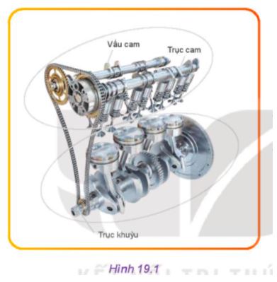 Công nghệ 11 Kết nối tri thức bài 19