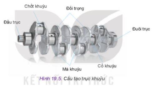 Công nghệ 11 Kết nối tri thức bài 19