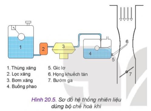 Công nghệ 11 Kết nối tri thức bài 20