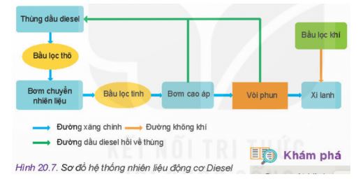 Công nghệ 11 Kết nối tri thức bài 20
