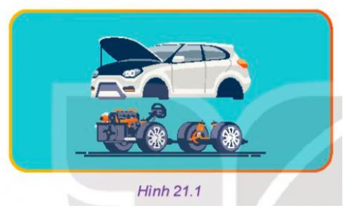 Công nghệ 11 Kết nối tri thức bài 21