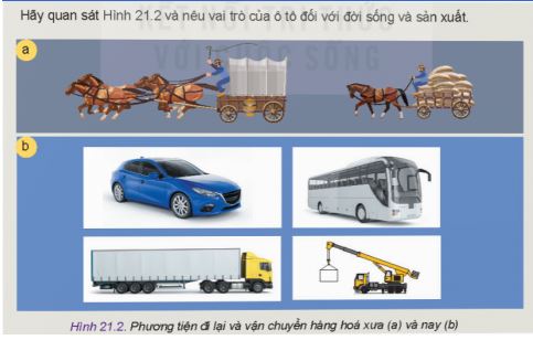 Công nghệ 11 Kết nối tri thức bài 21