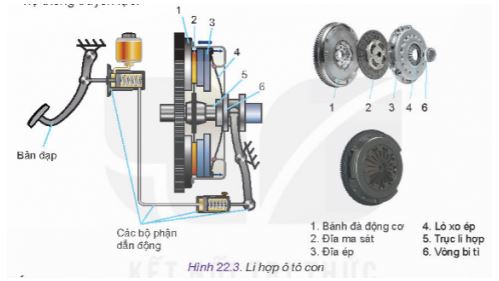Công nghệ 11 Kết nối tri thức bài 22