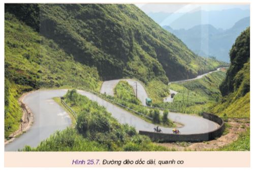 Công nghệ 11 Kết nối tri thức bài 25