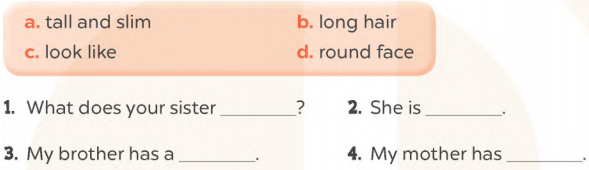Sách bài tập tiếng Anh lớp 4 unit 13 Global success