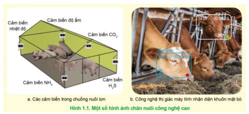 Công nghệ 11 Cánh diều bài 1