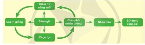 Công nghệ 11 Cánh diều bài 7