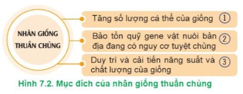 Công nghệ 11 Cánh diều bài 7