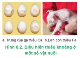 Công nghệ 11 Cánh diều bài 8