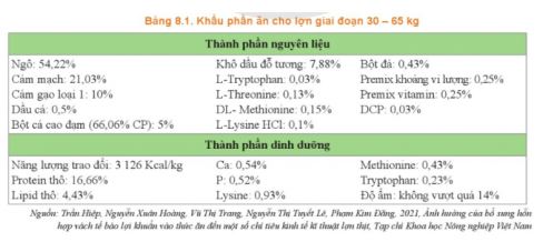 Công nghệ 11 Cánh diều bài 8