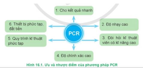 Công nghệ 11 Cánh diều bài 16