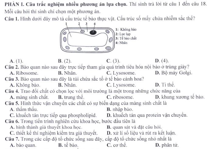 Đề minh họa thi THPT Quốc gia môn Sinh học