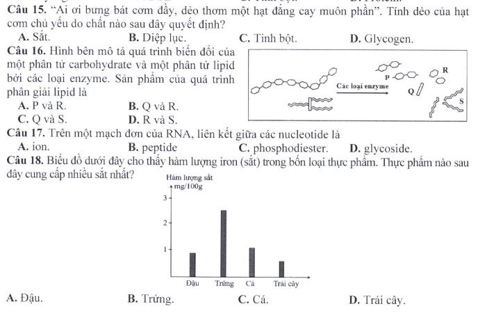 Đề minh họa thi THPT Quốc gia môn Sinh học