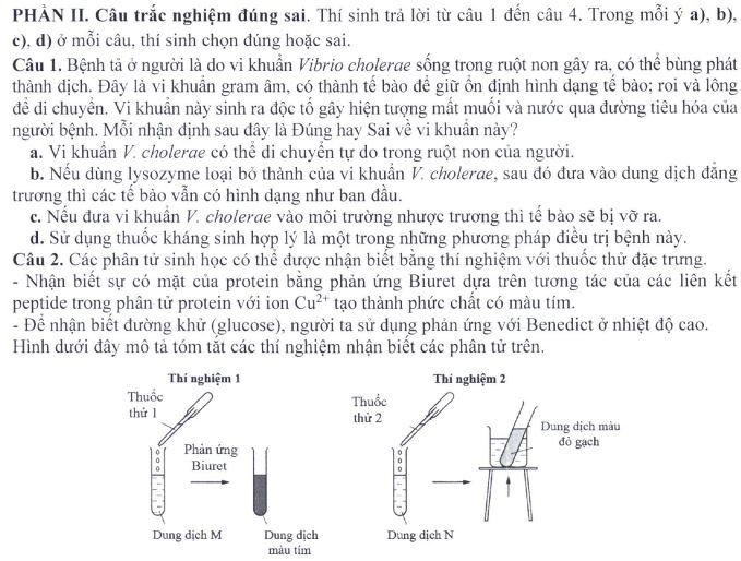 Đề minh họa thi THPT Quốc gia môn Sinh học