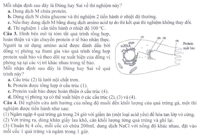 Đề minh họa thi THPT Quốc gia môn Sinh học