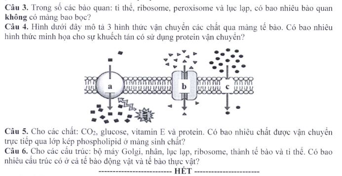 Đề minh họa thi THPT Quốc gia môn Sinh học