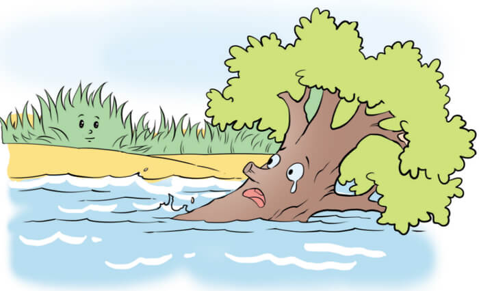 Ôn tập cuối học kì 1 - Tiết 2 Cánh Diều