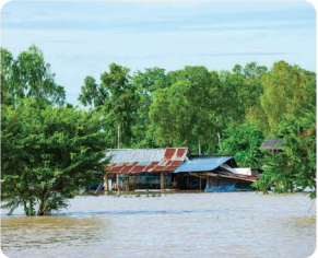 Tiếng Anh 8 unit 9 Skills 1 trang 97, 98 Global success