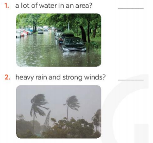 Tiếng Anh 8 unit 9 Looking back trang 100 Global success