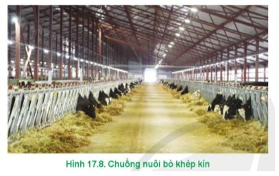 Công nghệ 11 Cánh diều bài 17