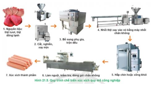 Công nghệ 11 Cánh diều bài 21