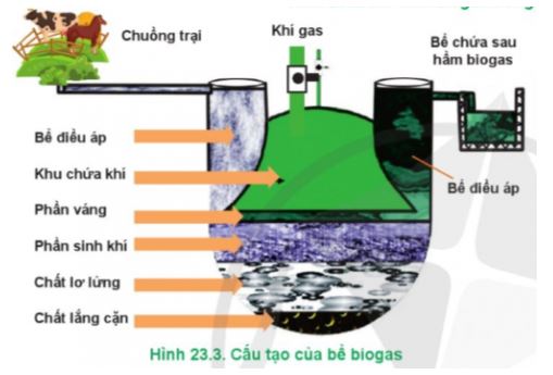 Công nghệ 11 Cánh diều bài 23