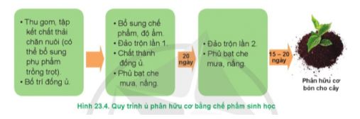 Công nghệ 11 Cánh diều bài 23