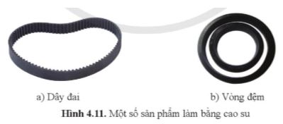 Công nghệ 11 Cánh diều bài 4
