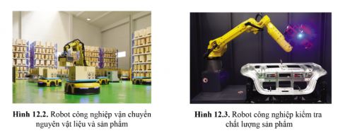 Công nghệ 11 Cánh diều bài 12