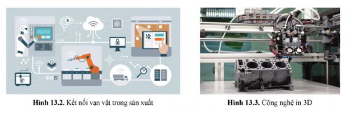 Công nghệ 11 Cánh diều bài 13