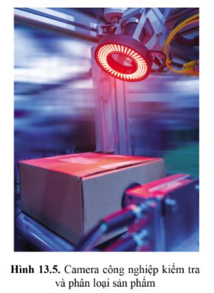 Công nghệ 11 Cánh diều bài 13