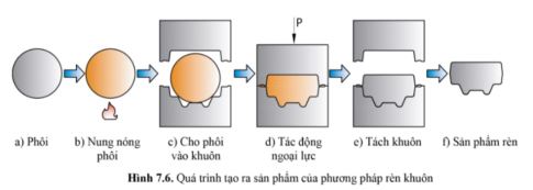 Công nghệ 11 Cánh diều bài 7