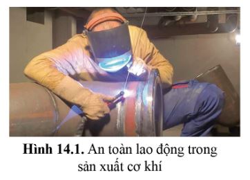 Công nghệ 11 Cánh diều bài 14
